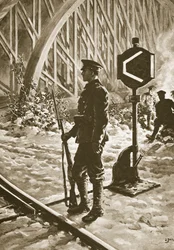 En Austria después del armisticio, 1914-19